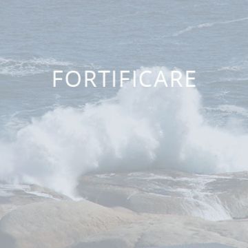 Fortificare